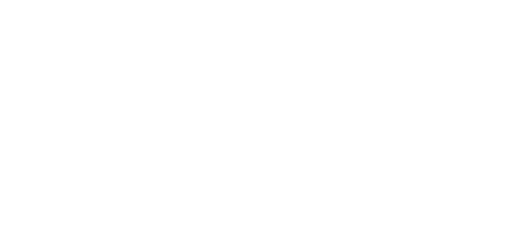 Wiser CRM